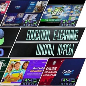 Привлеките своих студентов с помощью убедительного рекламного видео о ваших образовательных услугах от AMD Studio